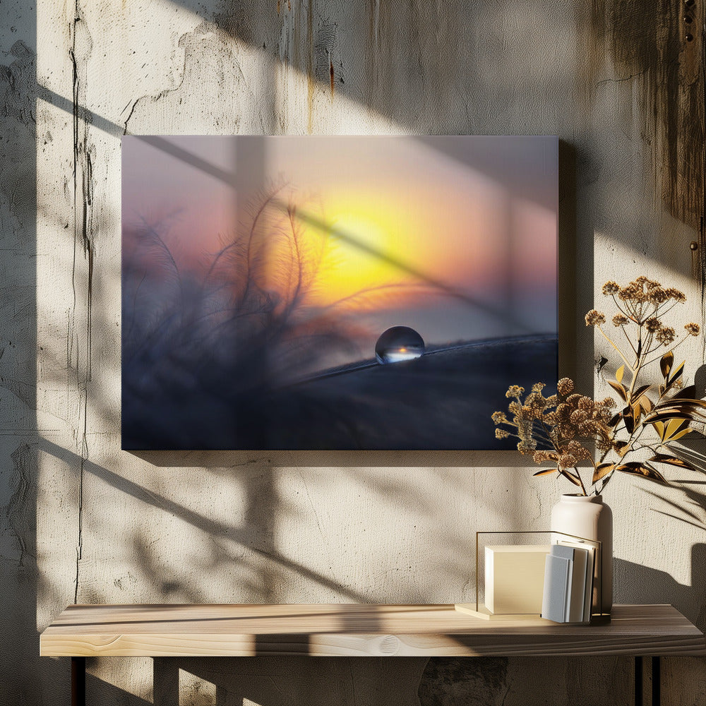 Morning | Canvas