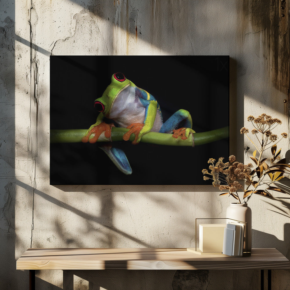 Nieuwsgierigheid | Canvas