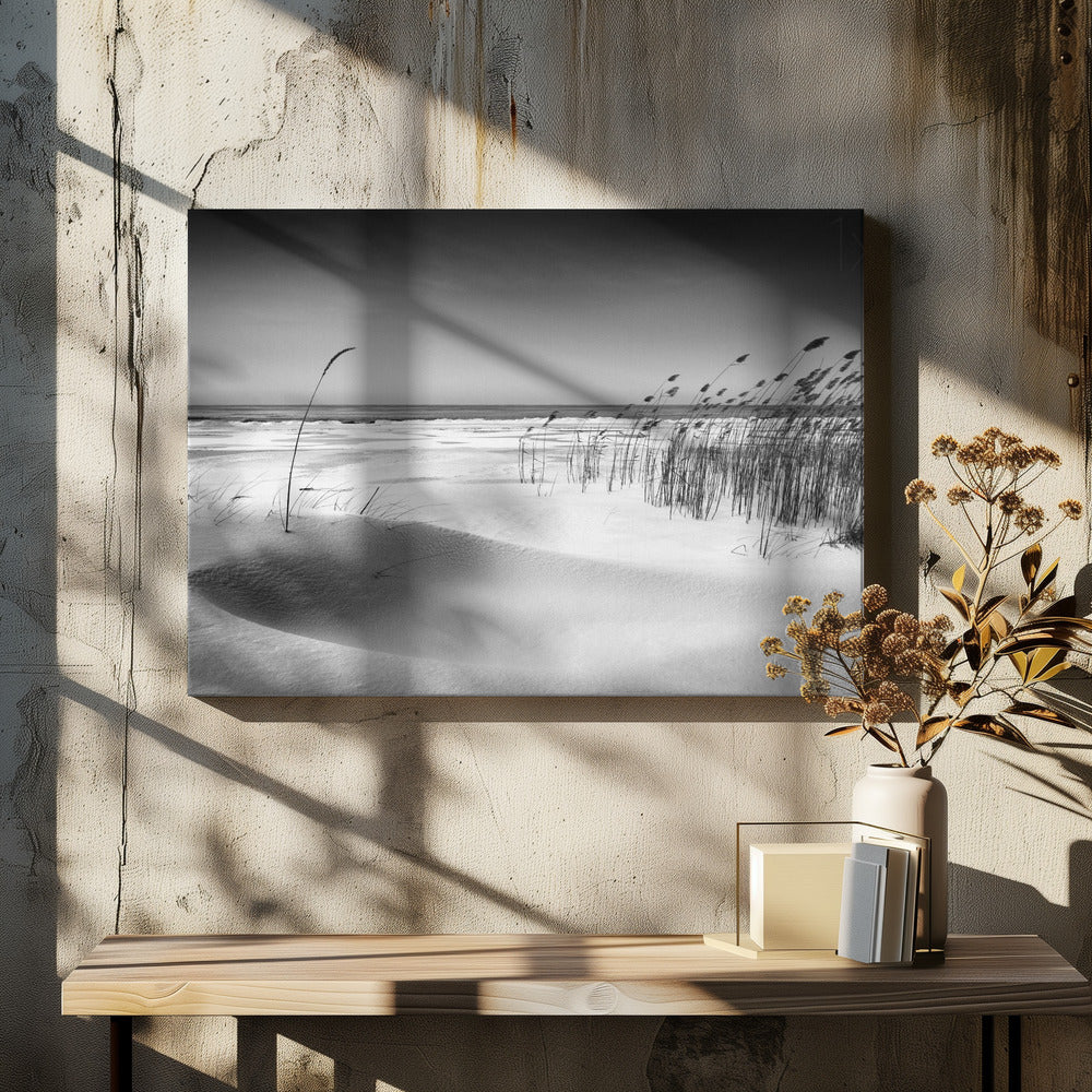 Orkest | Canvas