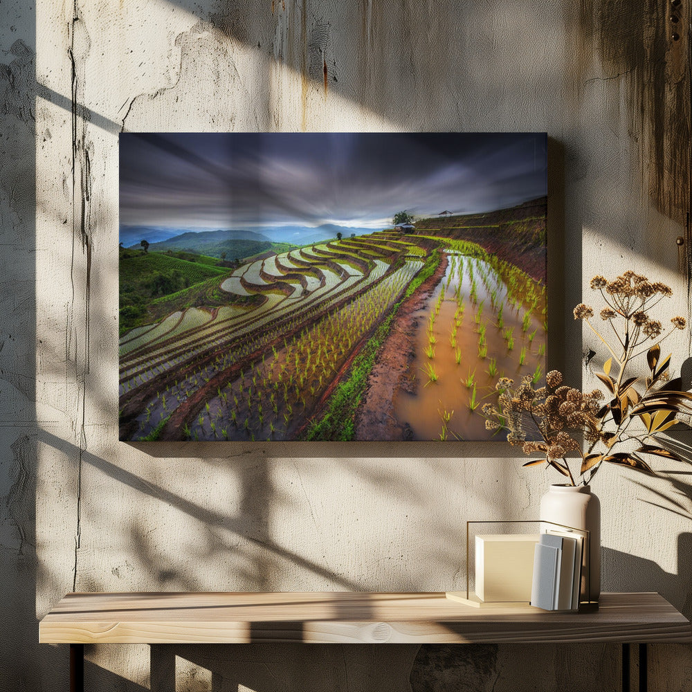 Ongeziene rijstvelden | Canvas