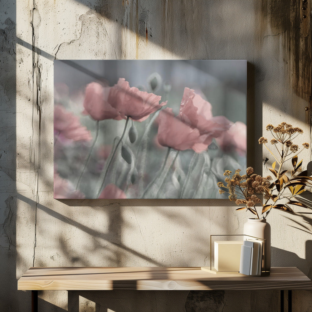 Zachtjes | Canvas