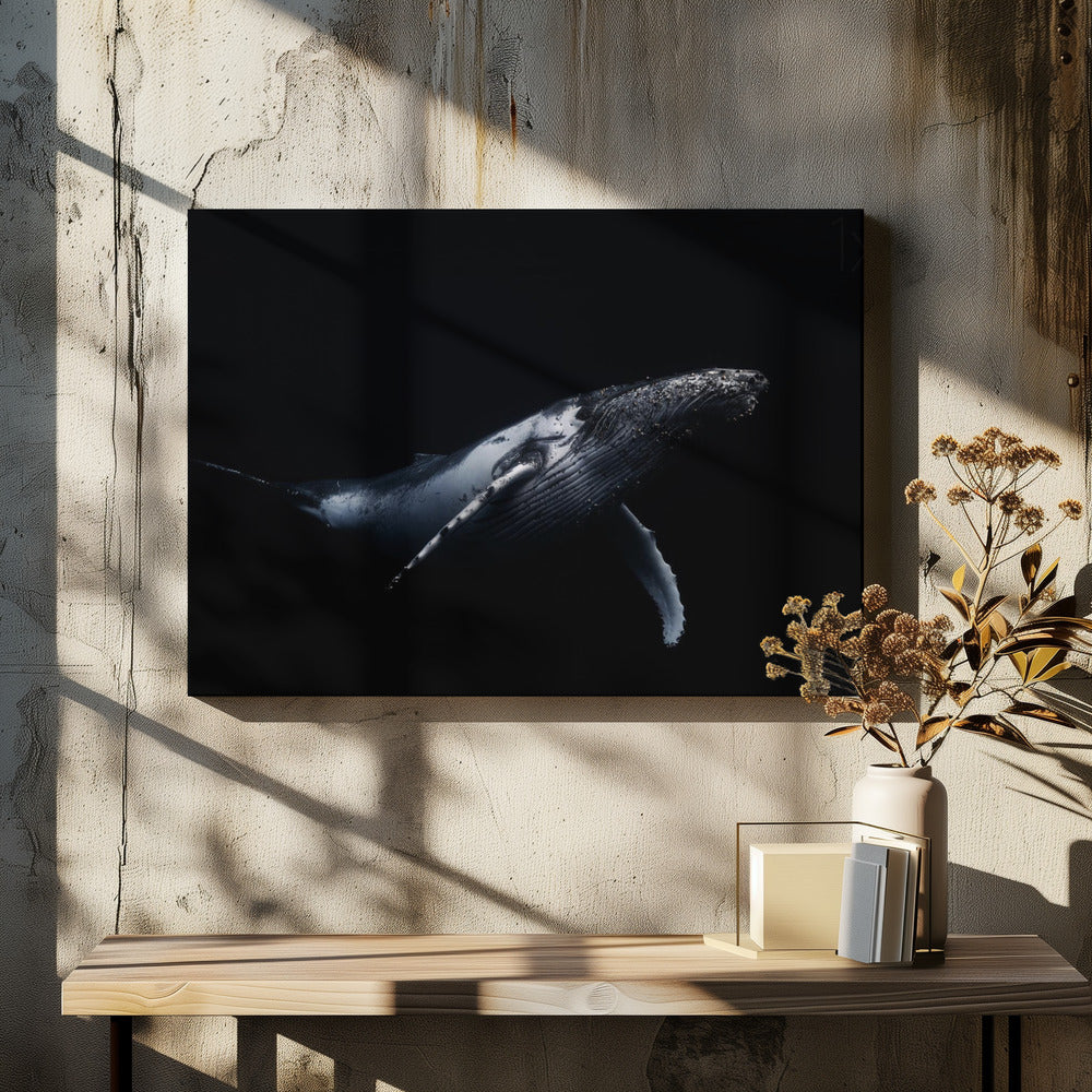 Zwart & Walvis | Canvas