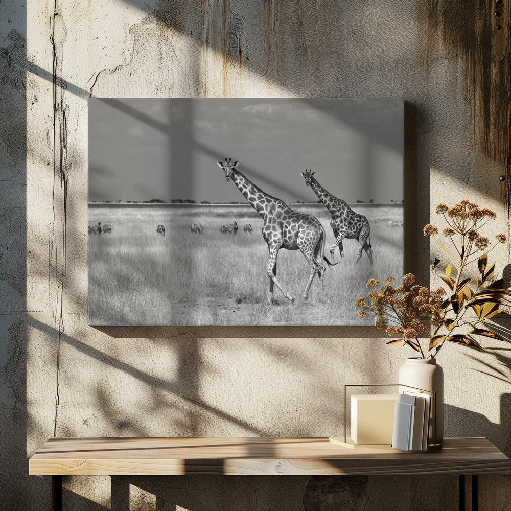 Toeristen besteden | Canvas