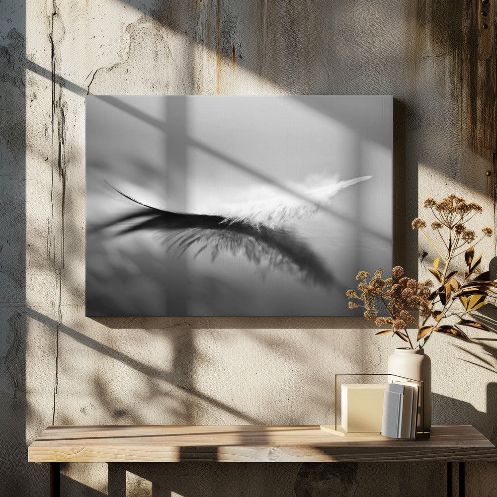 White | Canvas