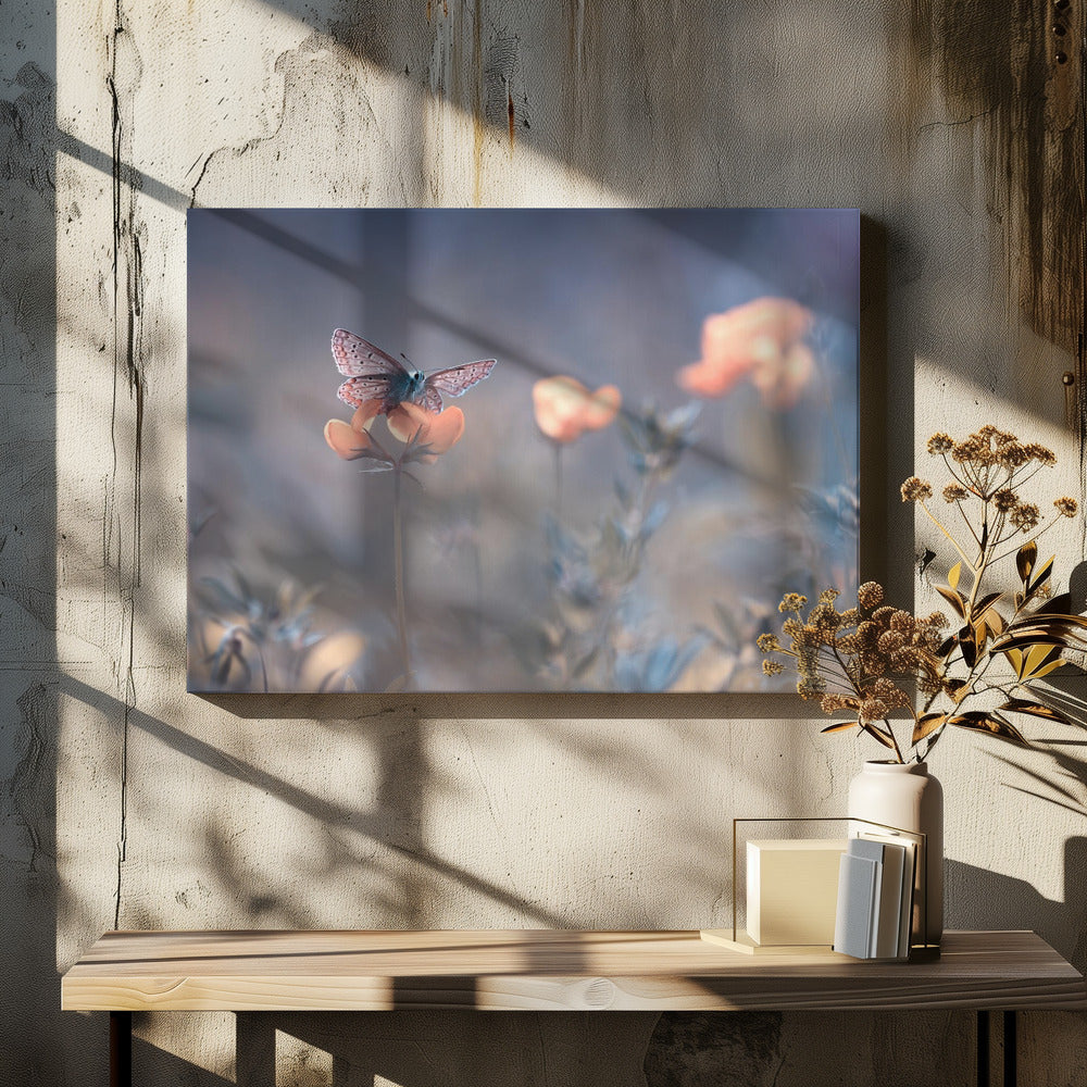 De Vrouwe van Lothlorien | Canvas