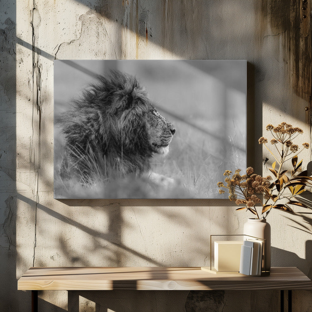 De koning is alleen | Canvas