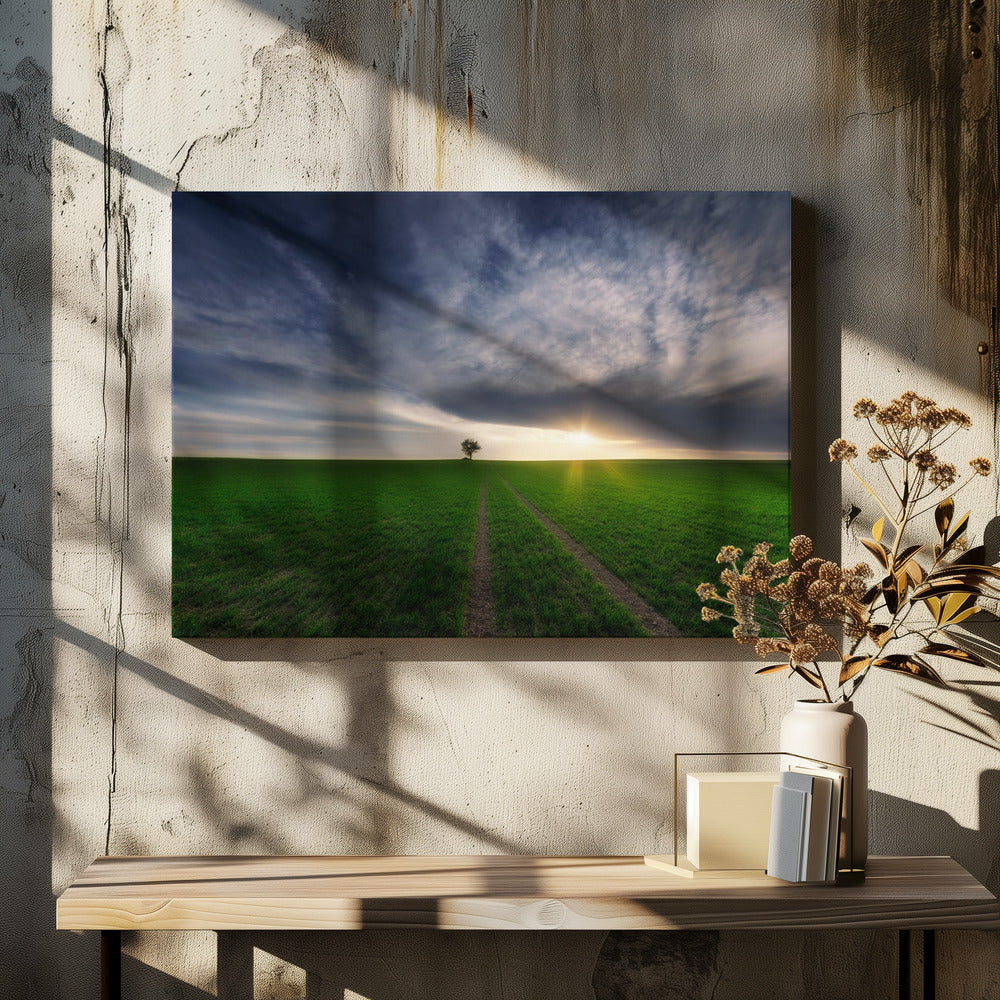 eenling in de zon | Canvas