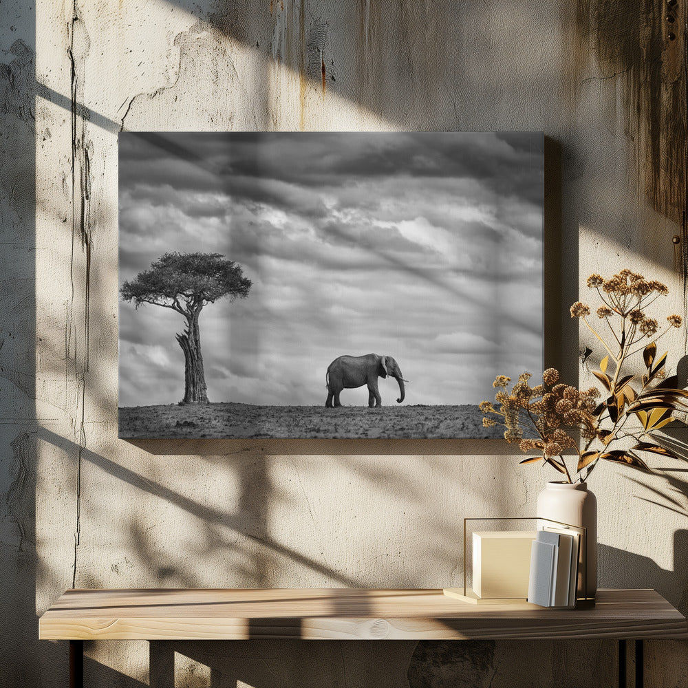 Olifantenlandschap | Canvas
