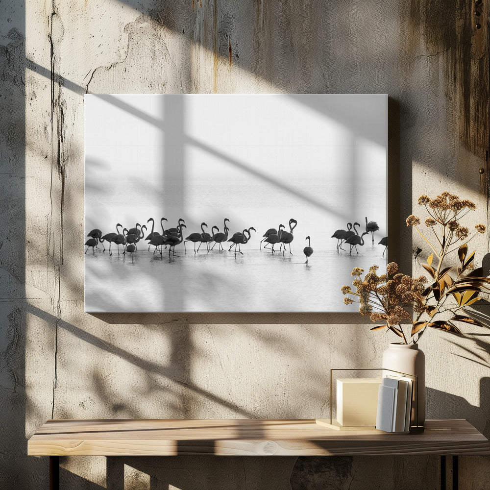 Flamingo's | Canvas