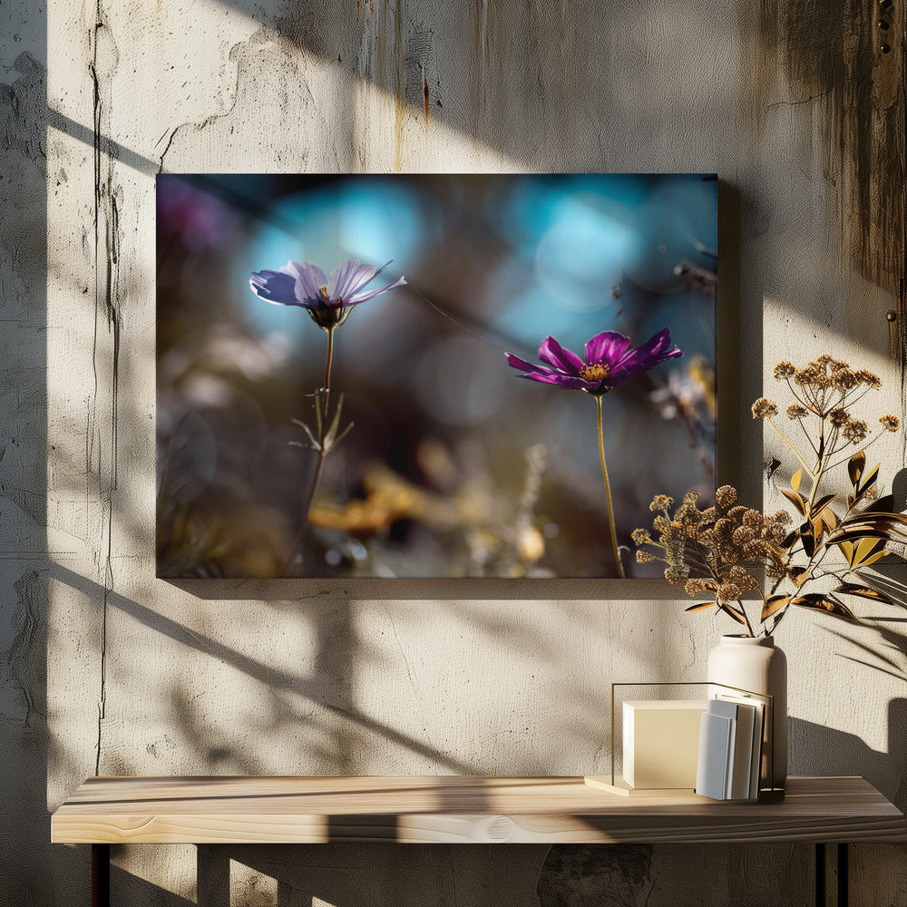 De link | Canvas