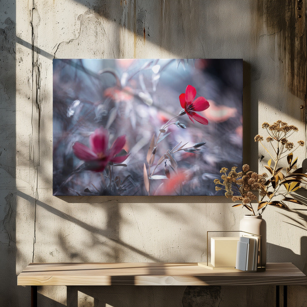 Een Fleur, een geschiedenis | Canvas