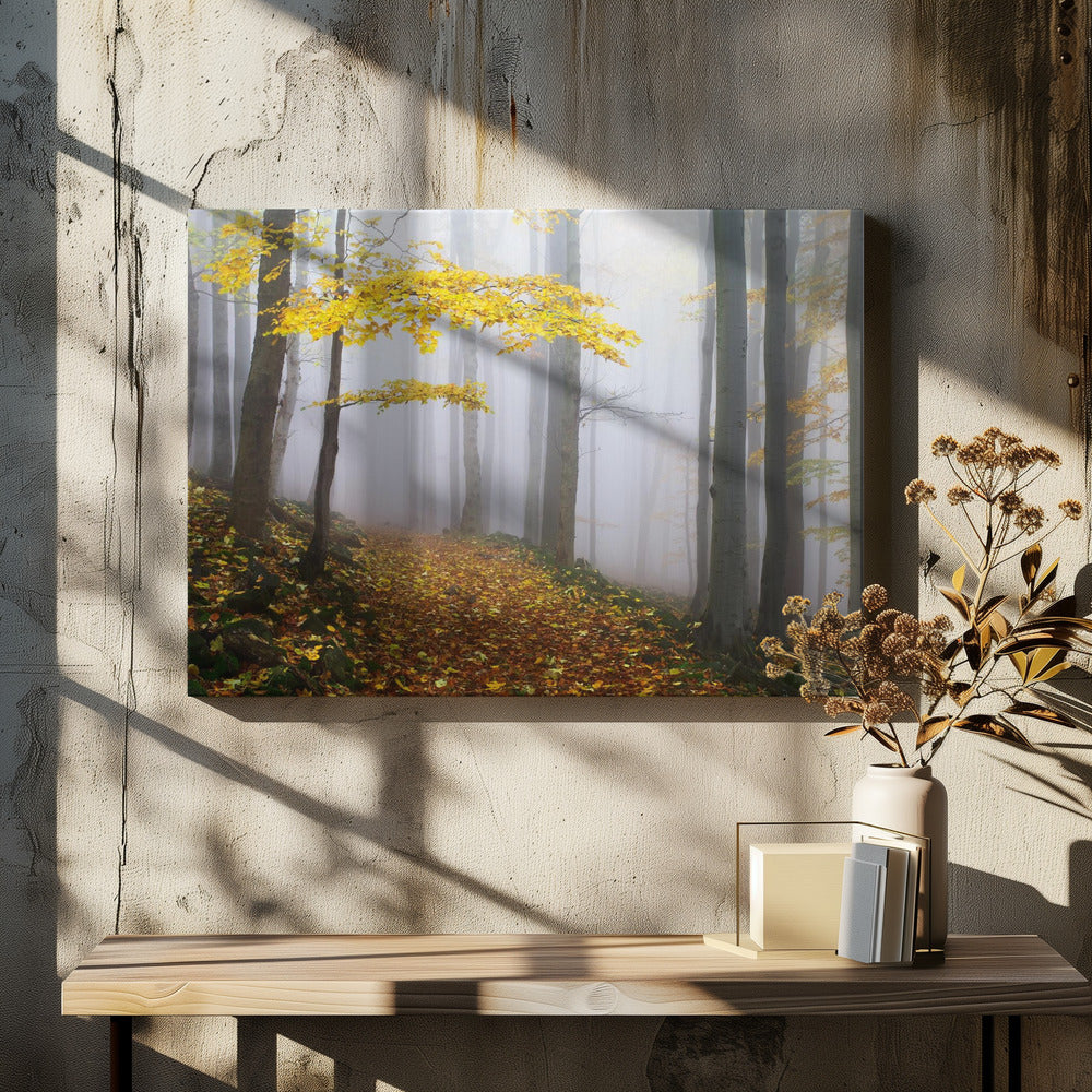 Zonder titel | Canvas