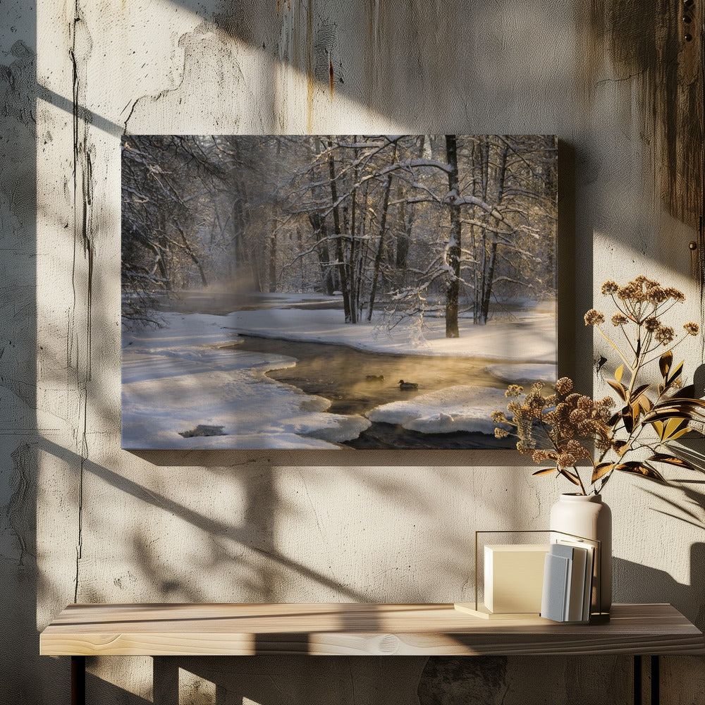 Het eerste licht | Canvas