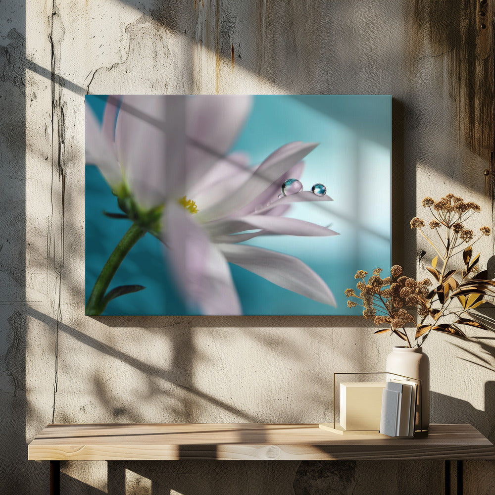 In turquoise Company | Canvas