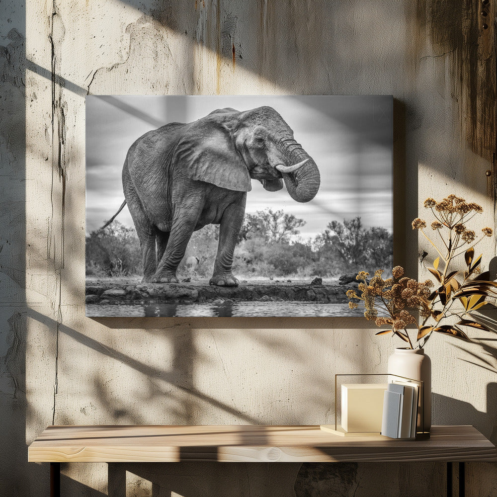 Trots Staand | Canvas