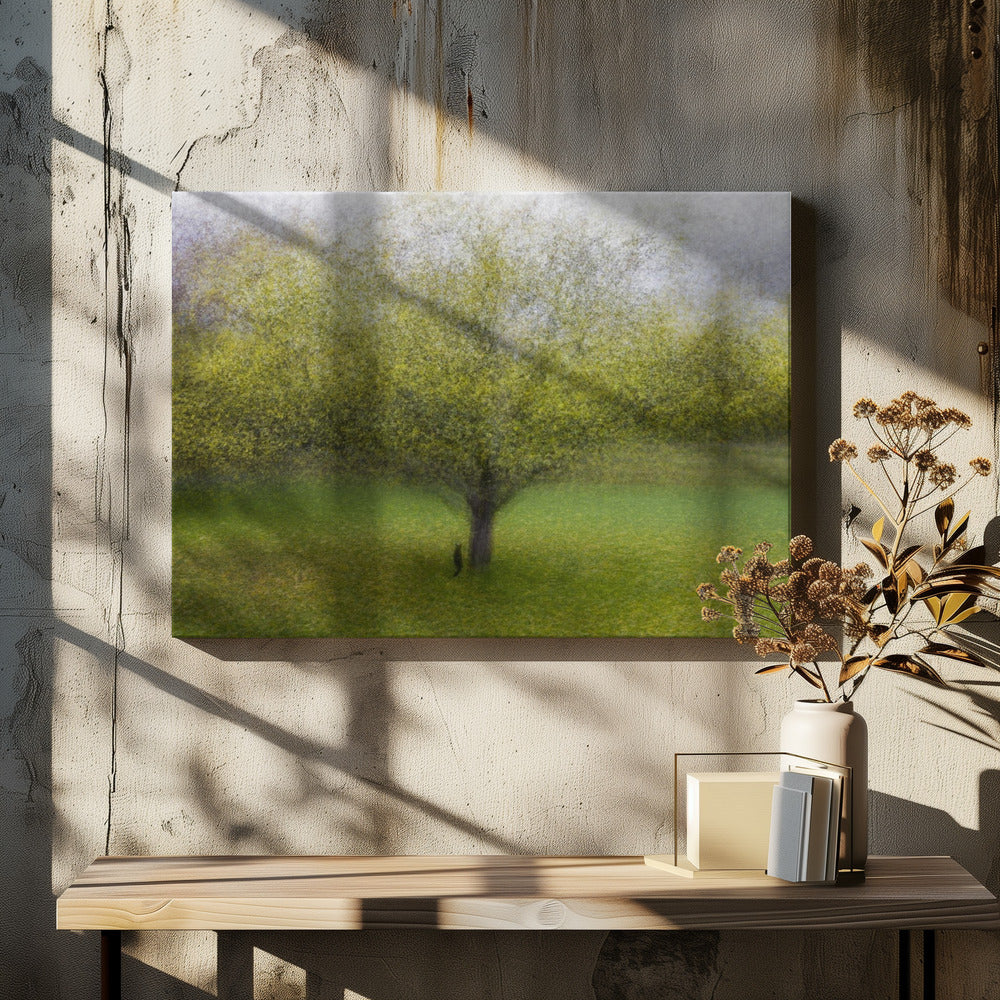 De kat bij de boom | Canvas