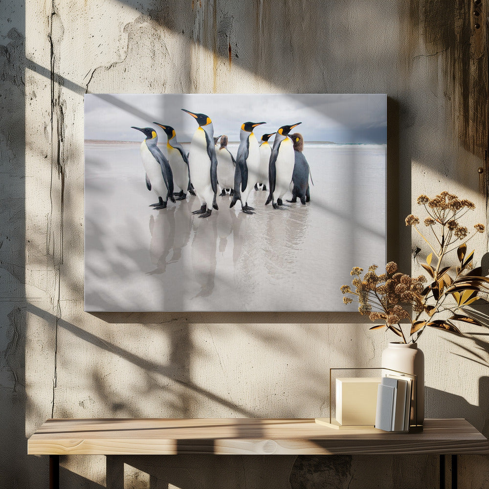 Lijfwacht | Canvas