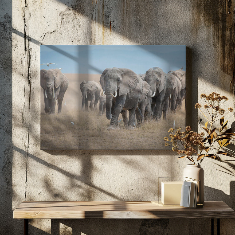 Herinner je de Titanen | Canvas