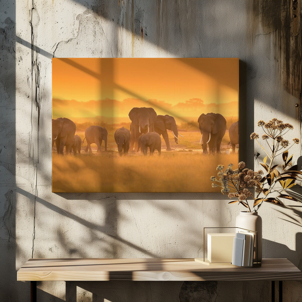 Gouden Licht | Canvas