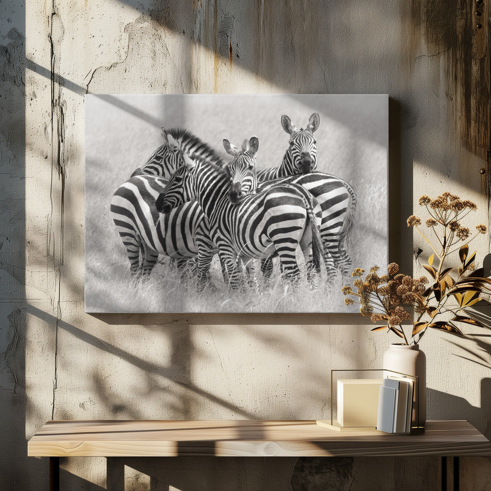 Zebra's | Canvas