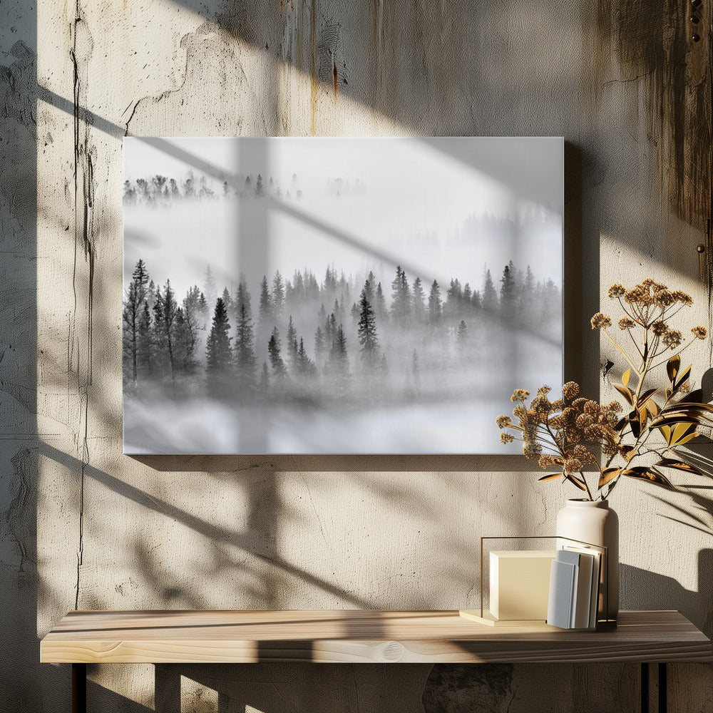 Mistig bos | Canvas
