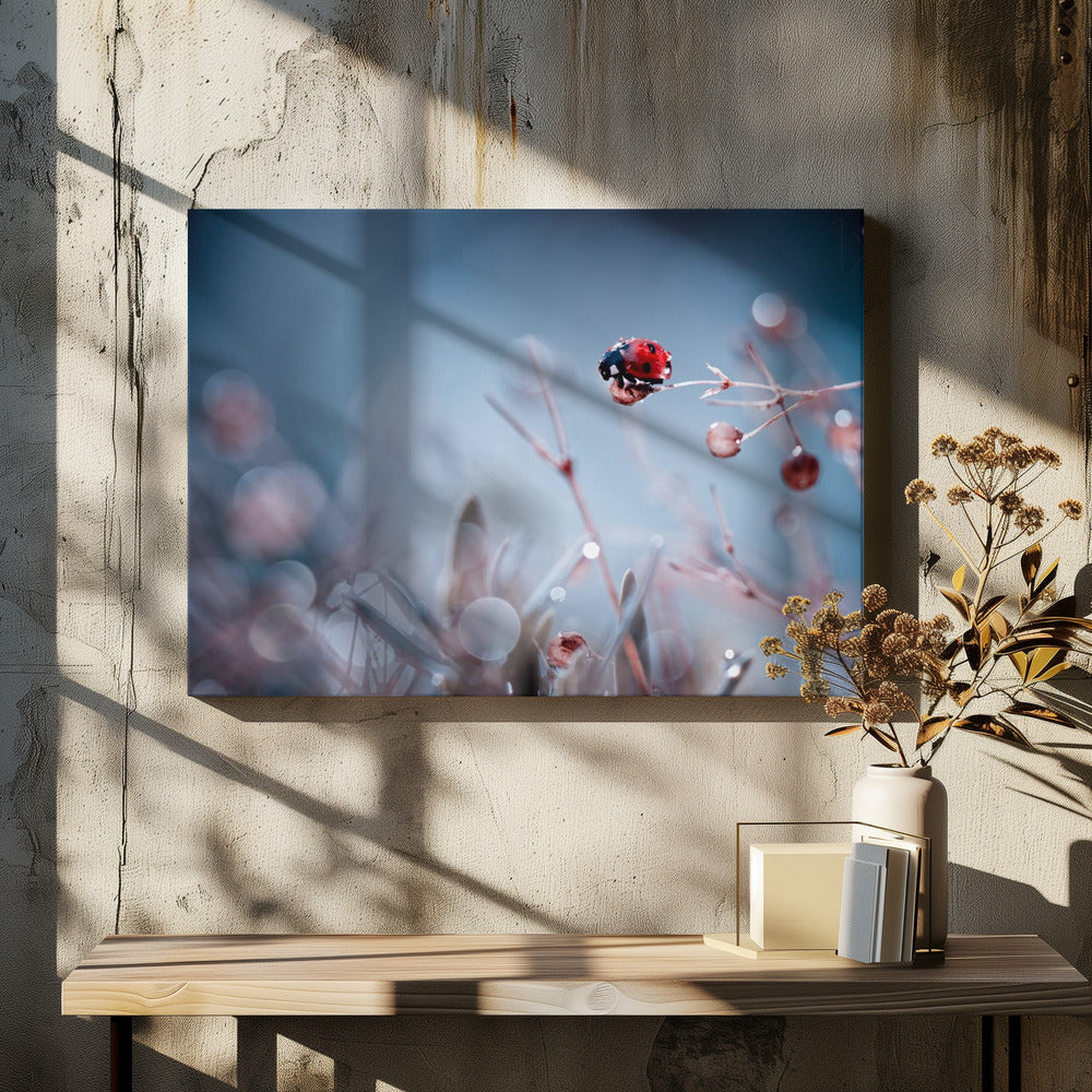 Hoogduiken | Canvas