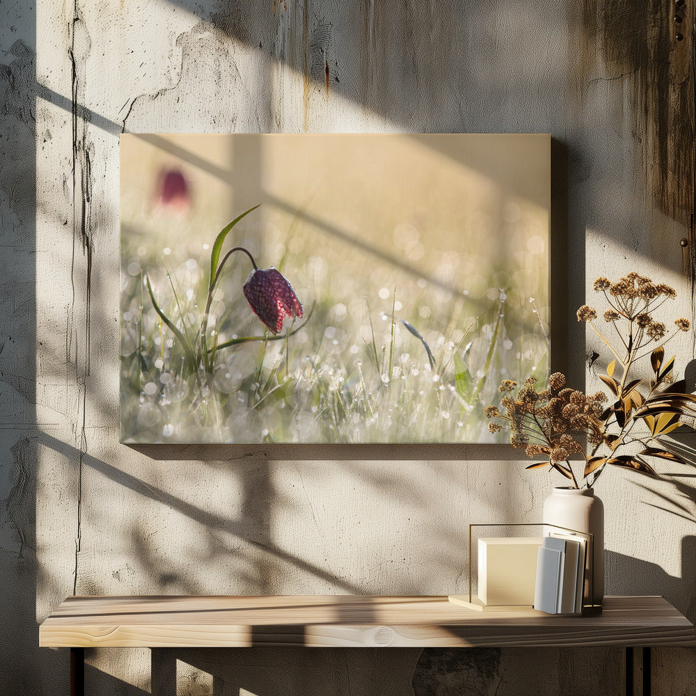 Ochtenddauw | Canvas