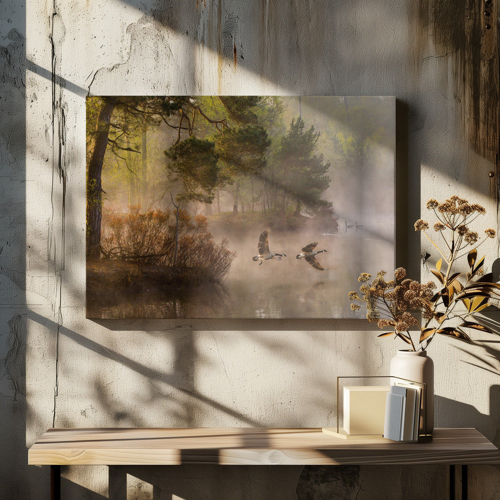Ganzengevecht | Canvas