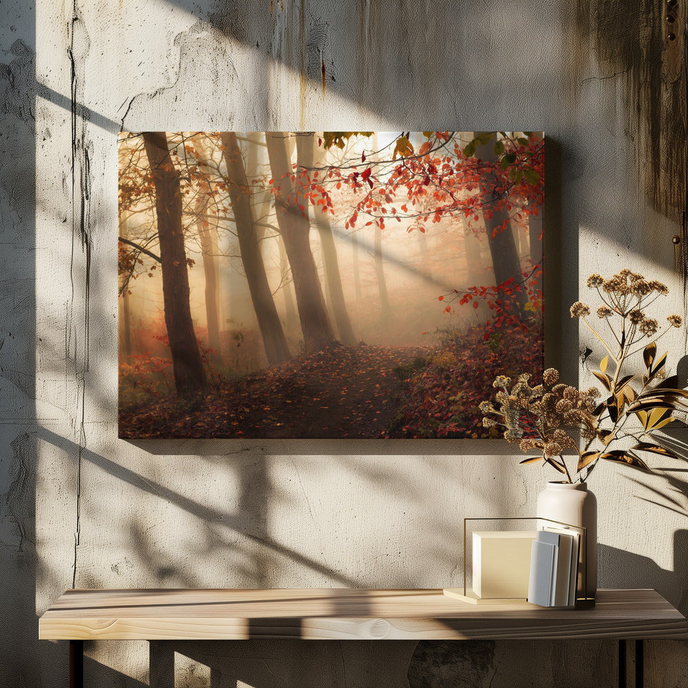 Op weg naar het licht. | Canvas