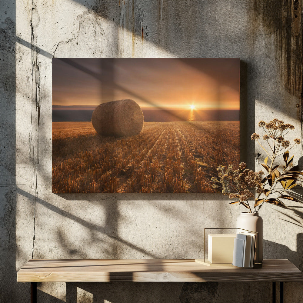 Gouden Oogst | Canvas