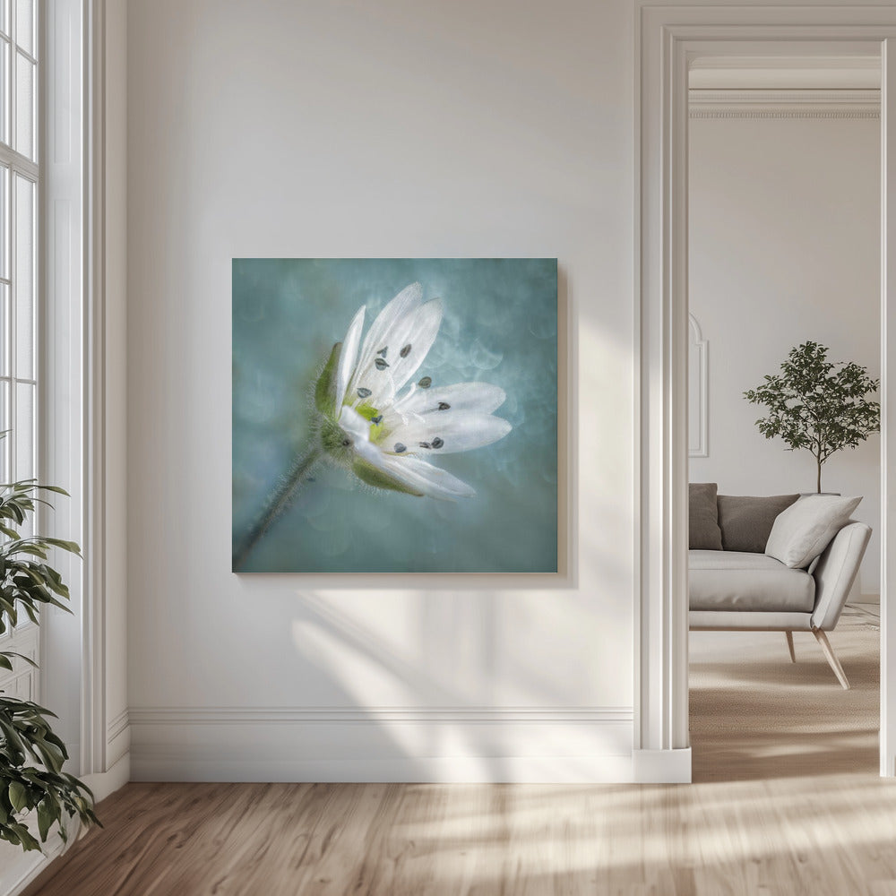 Naakt | Canvas
