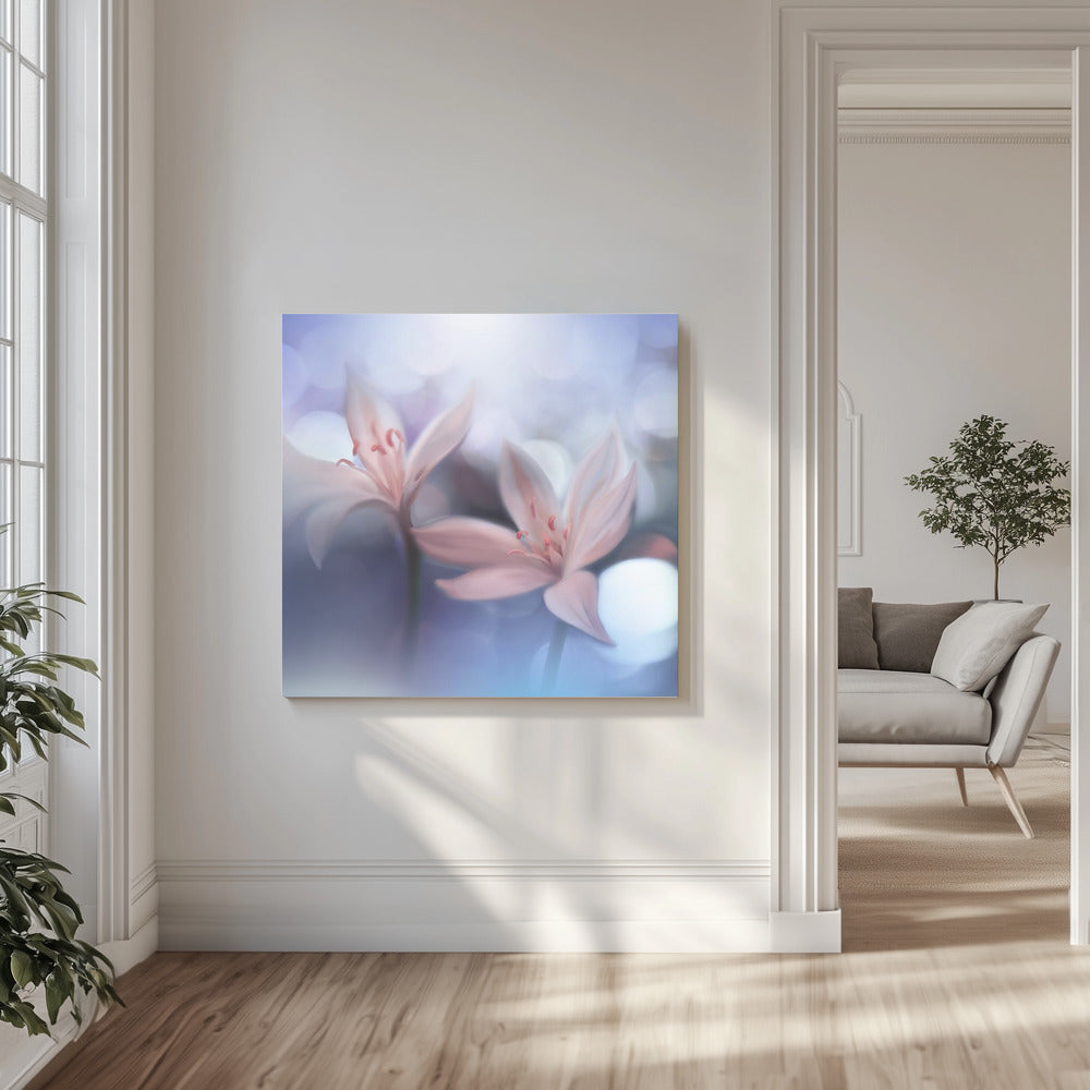 *-* | Canvas
