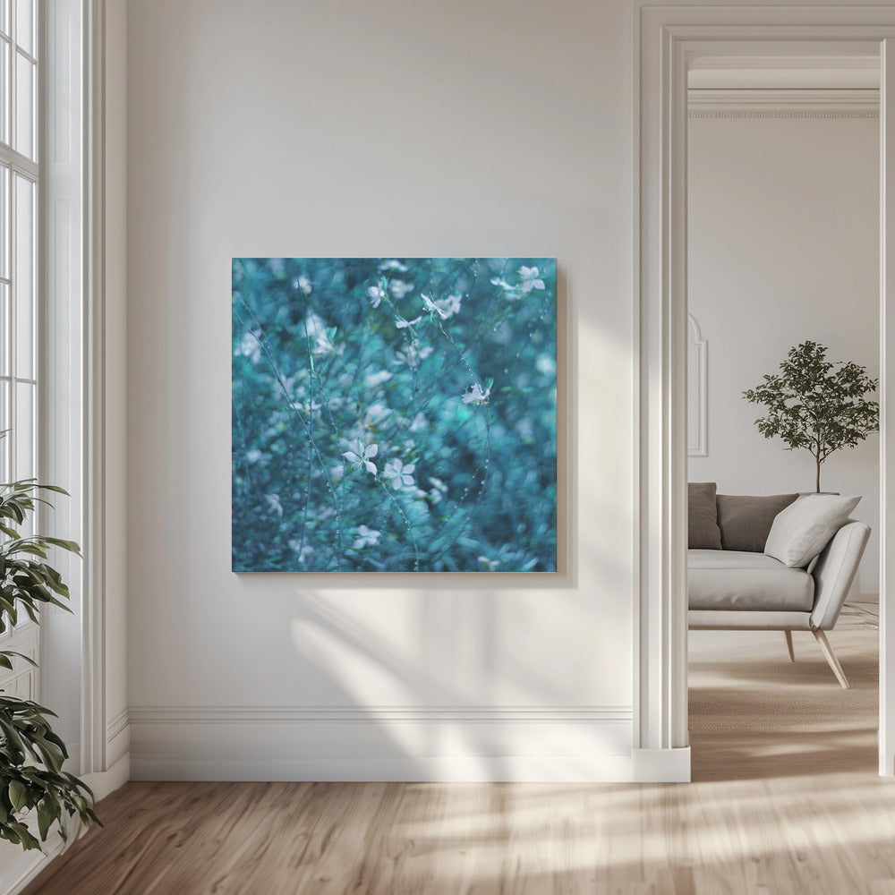 Midden in een droom | Canvas