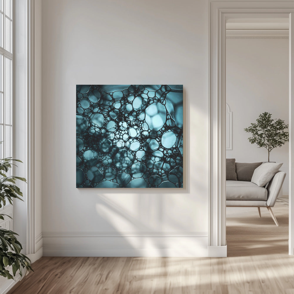 ZEEP | Canvas