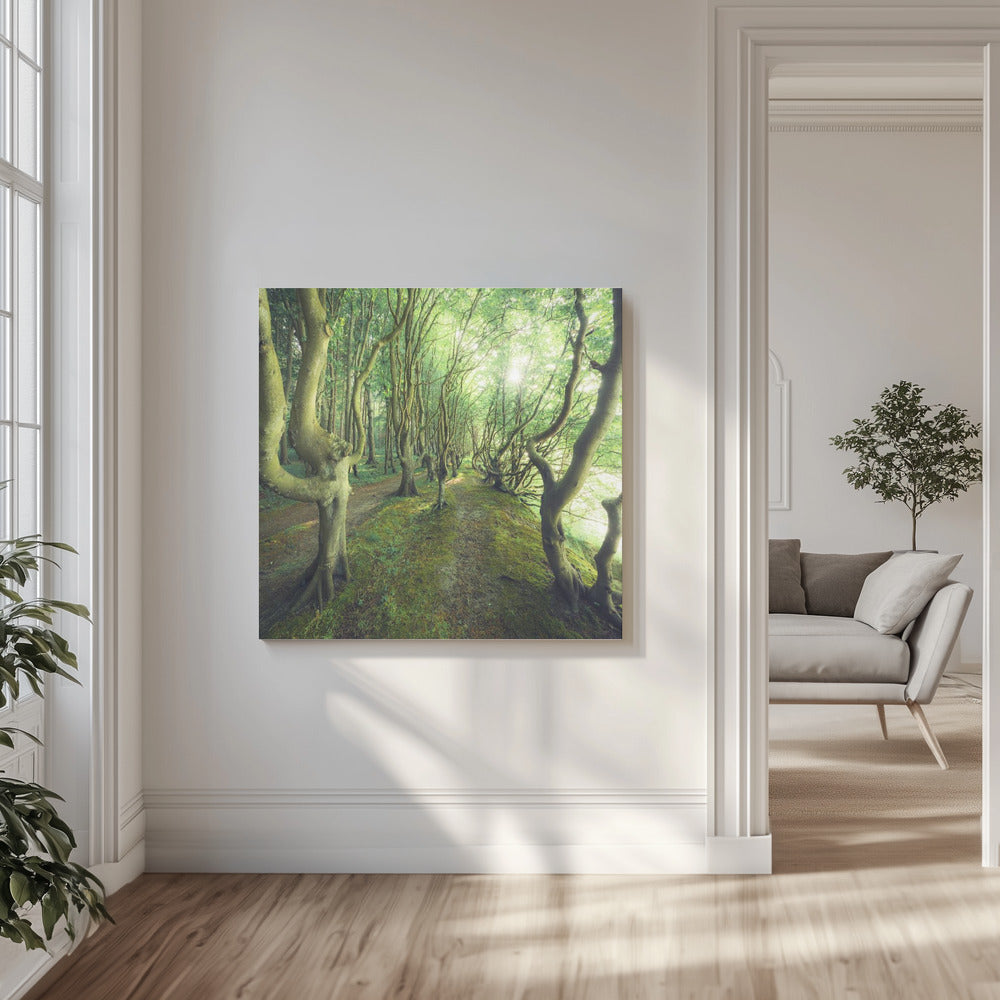 Crazy Lane | Canvas