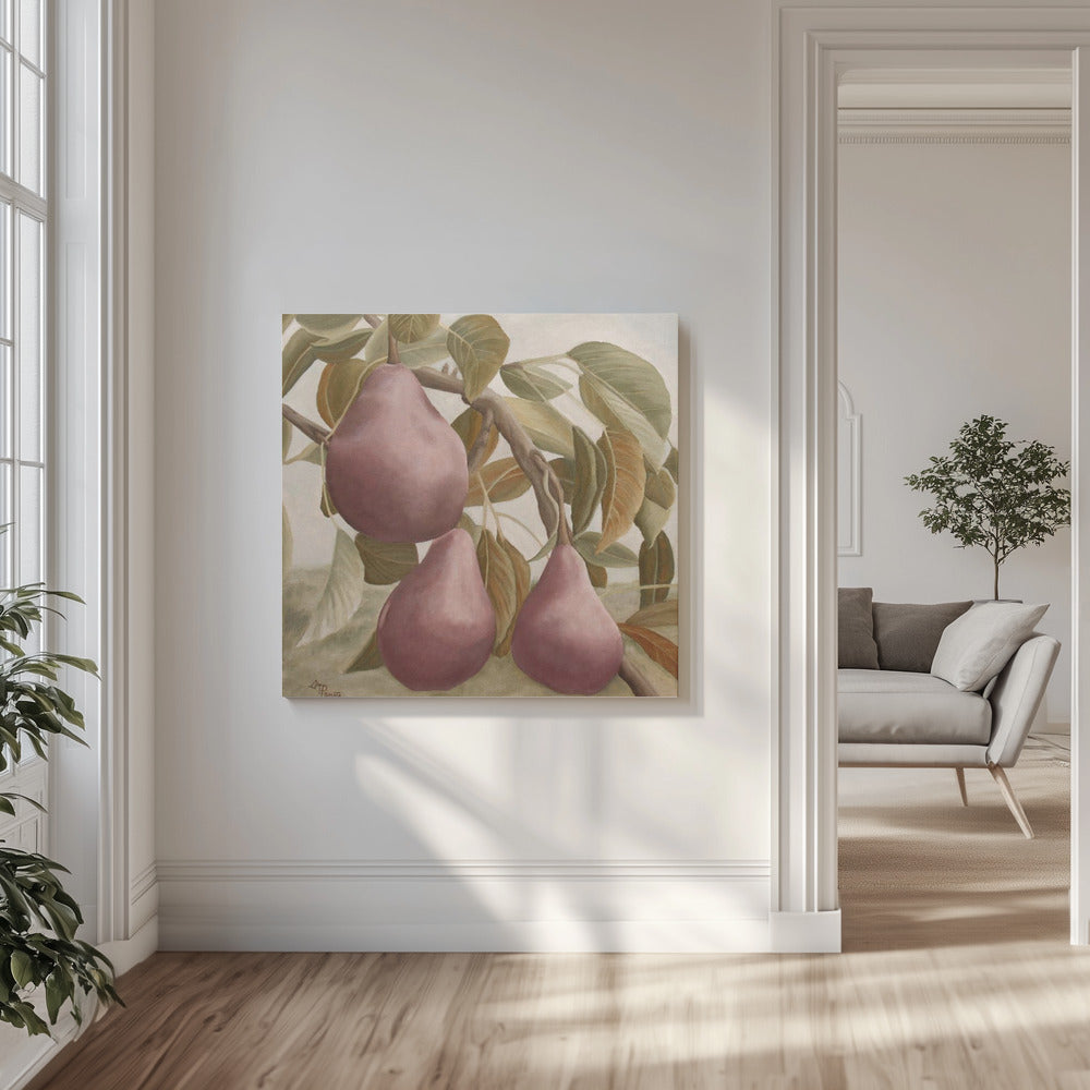 Max Red Bartlett Peren | Canvas