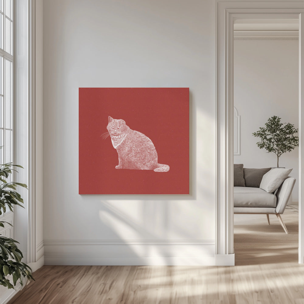 Stoere Banditkat | Canvas