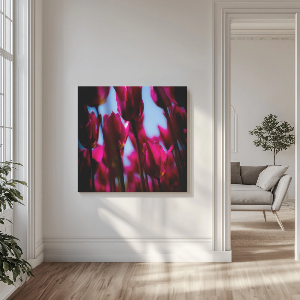 Paarse tulpen | Canvas