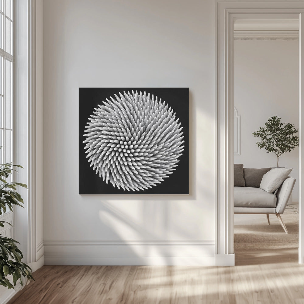 hypnose | Canvas