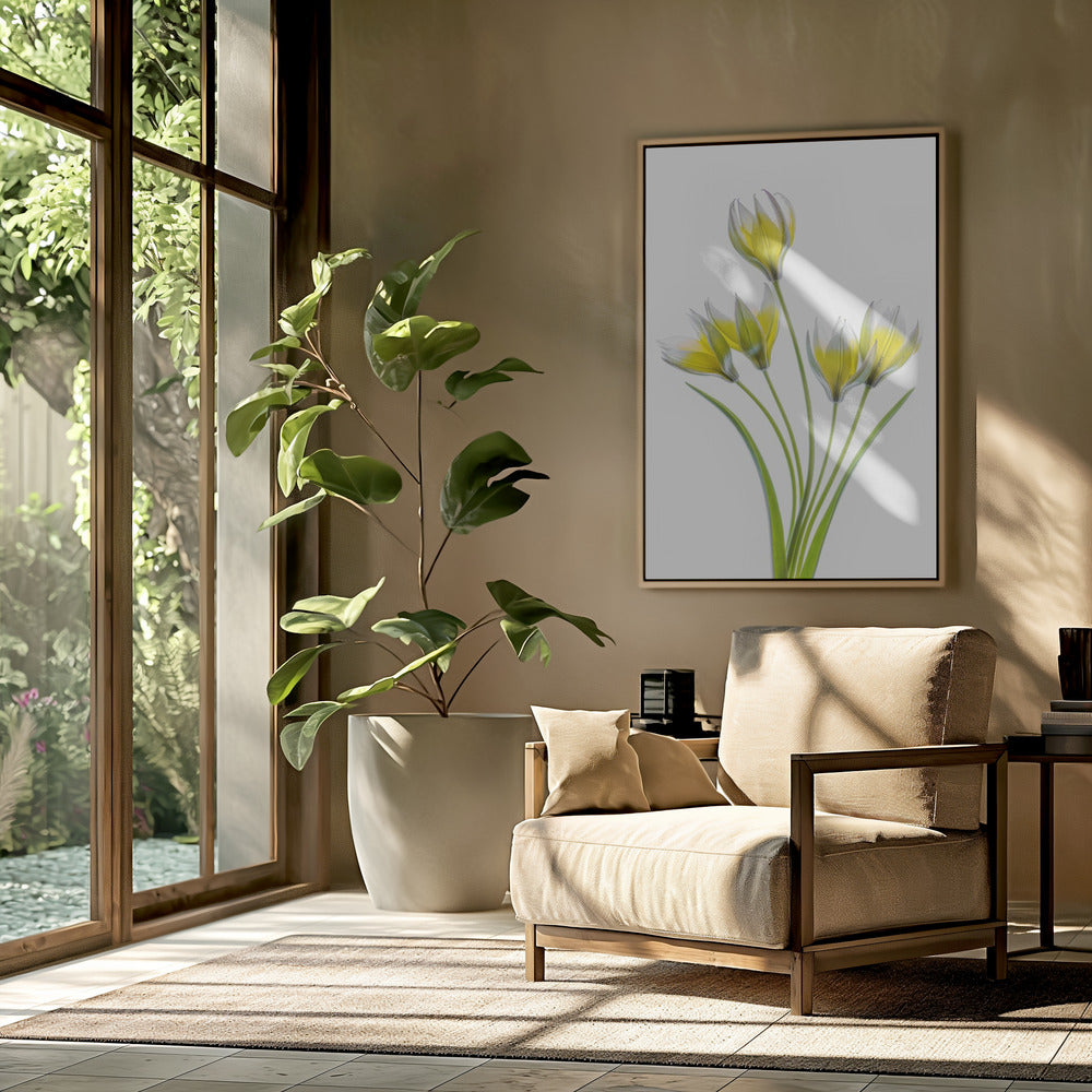 Tulp | Poster