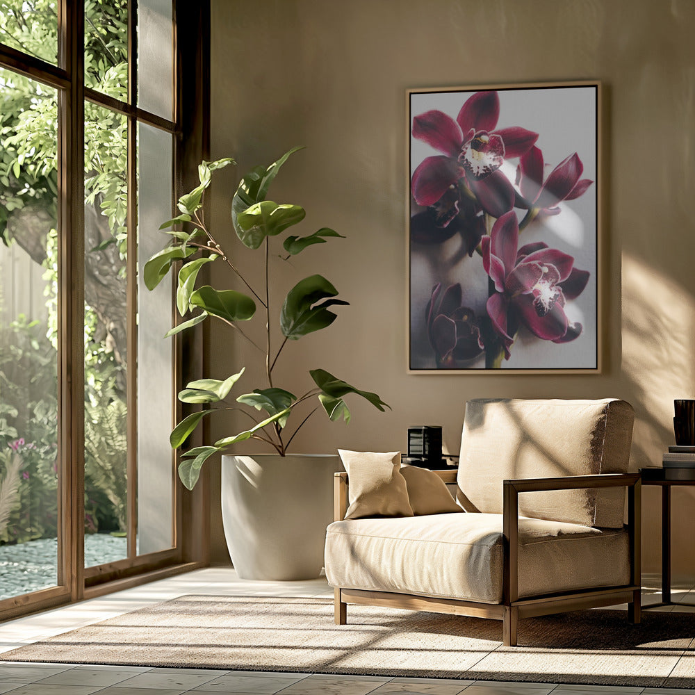 Orchideeën Elegantie | Poster