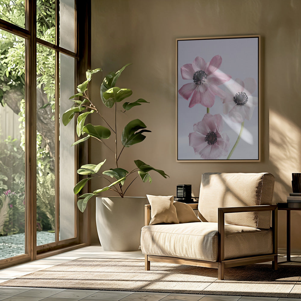 Elegante roze anemoonbloemen | Poster