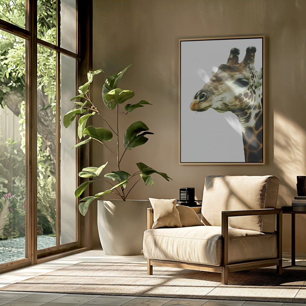 Giraffe's Graceful Gaze | Poster