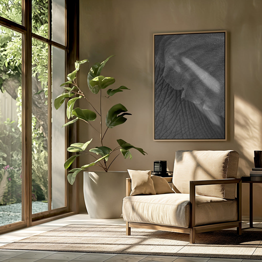 Wrinkles of Time | Poster