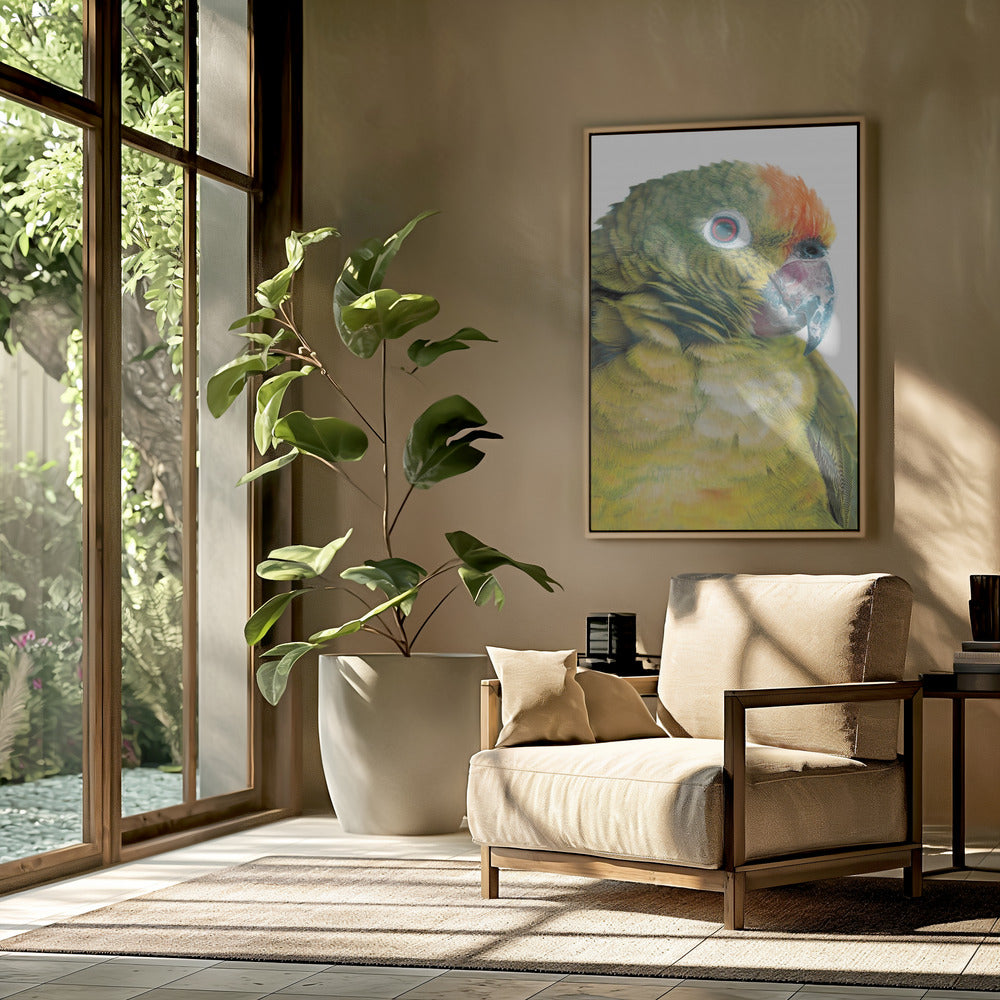 Vibrant Parrot Glance | Poster