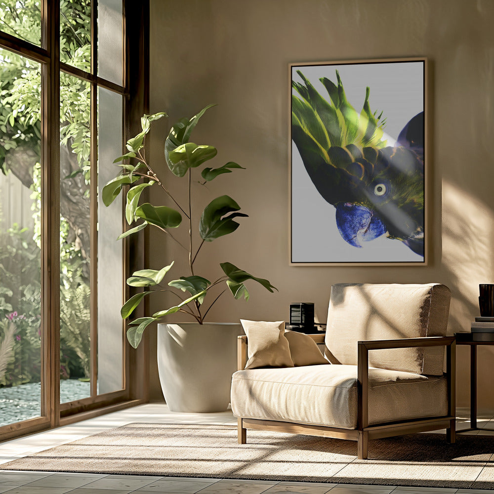 Levendige vogelblik | Poster