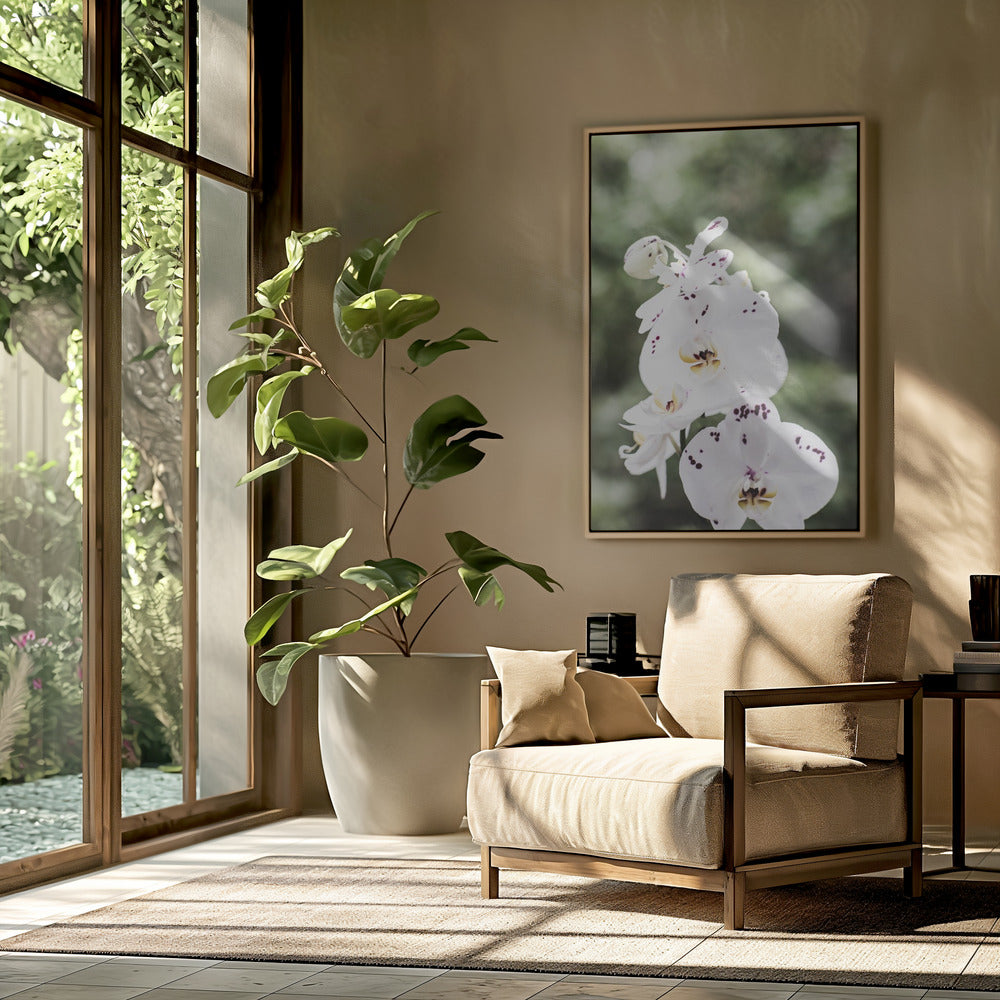 Spring Blooms | Poster