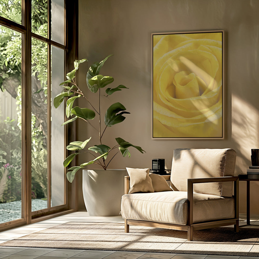 yellow rose | Poster