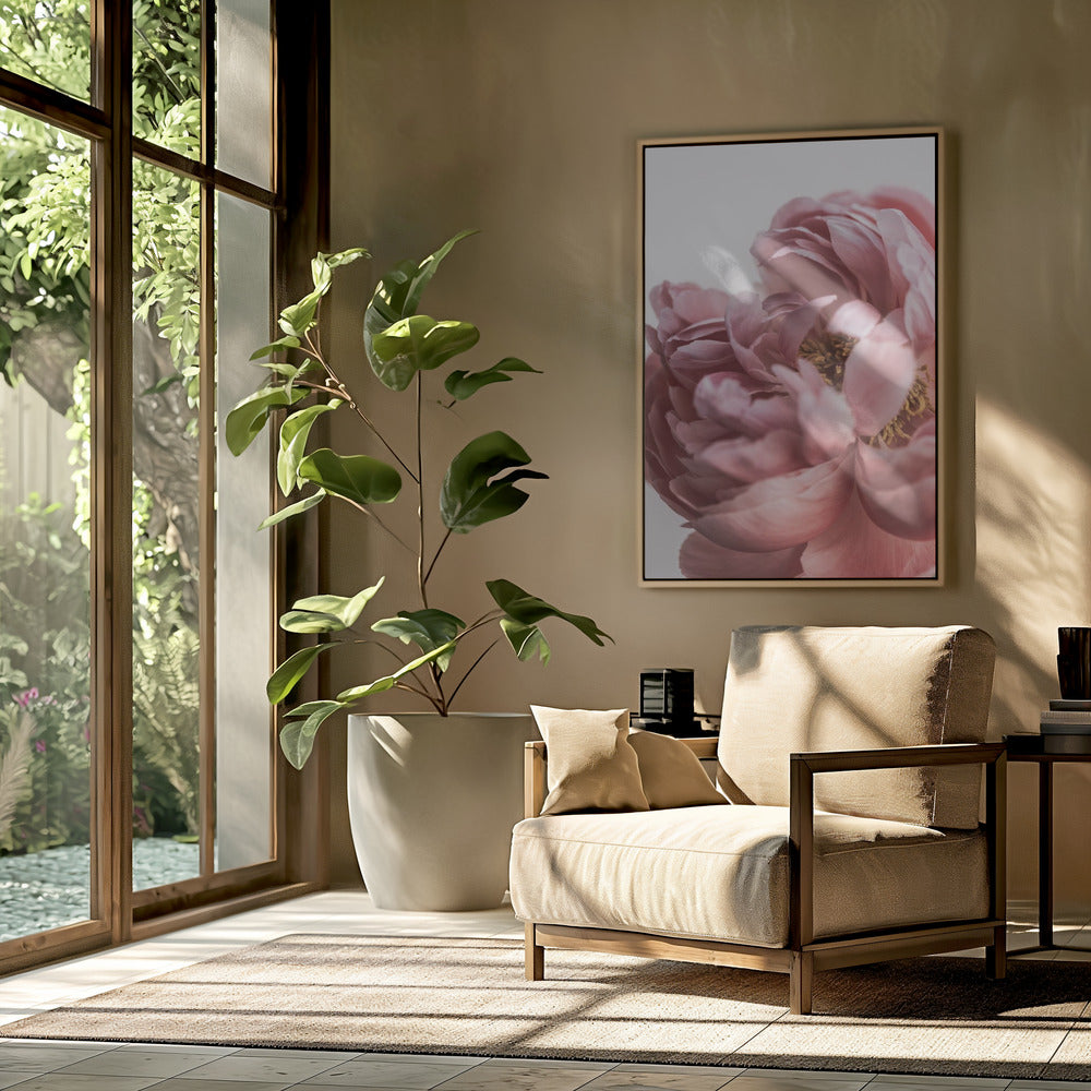Peony | Poster