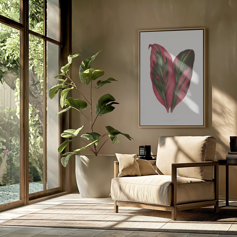 Roze Dracaena Terminalis bladillustratie | Poster